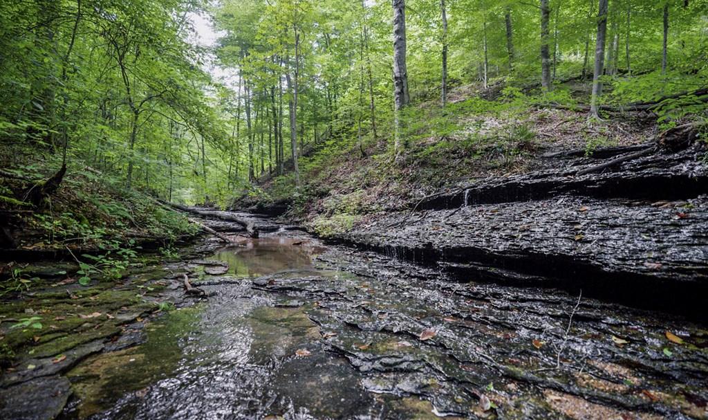 Image 3: Creek On Property!