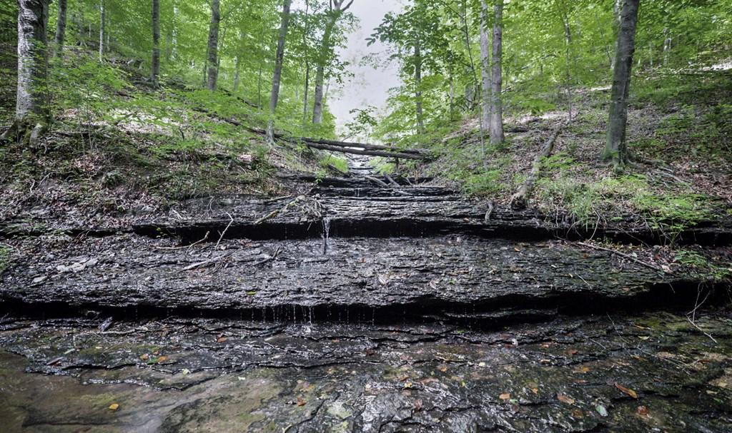 Image 4: Creek On Property!