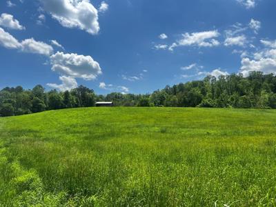 Lot 1 Hwy 285 Cane Creek - Cummingsville Rd