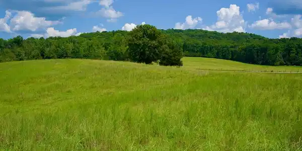 Tract 2 West Of Barlow Rd