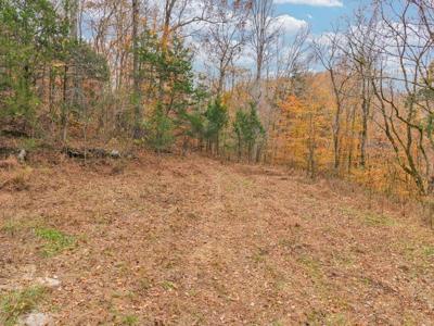 Ensor Hollow Rd