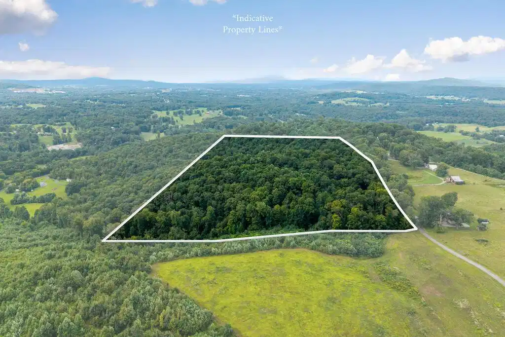 Image 1: Main View