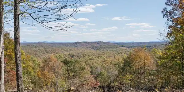 Tract 6 Off Of Sheep Ranch Road
