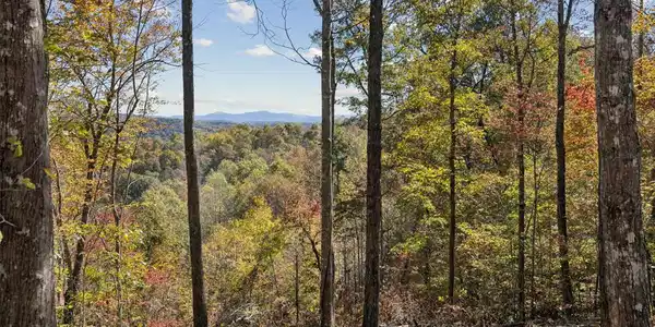 Tract 7 Off Of Sheep Ranch Road