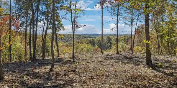 Tract 11 Off Of Sheep Ranch Road