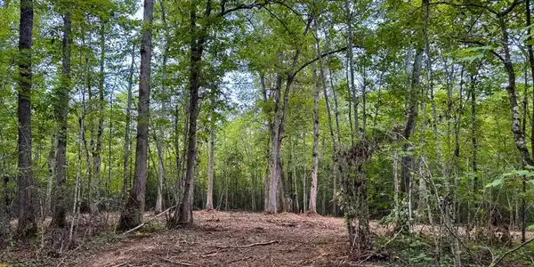 Tract 6 Sheep Ranch Road