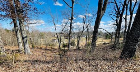 lot 54 Bunker Hill Rd