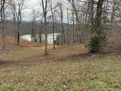 Lot 7 Amonett Circle