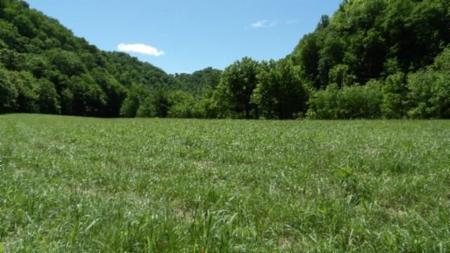 5155 Brimestone Creek Rd