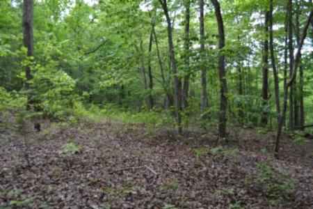 Lot 6 Forest Trails Lane