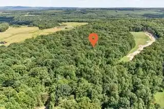 Image 4: Lot 12
