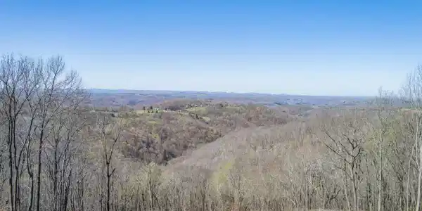 38.8 Ac. Anderson Road