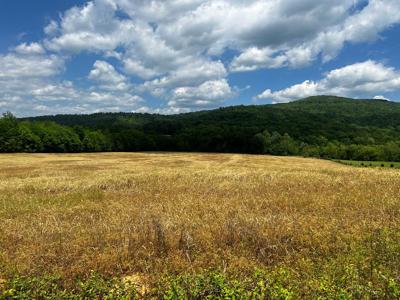 Lot 3 Cane Creek Cummingsville Rd.