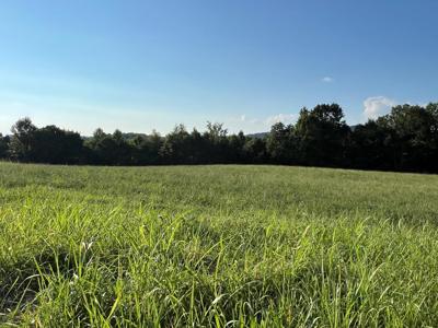 Lot 26 Amonett Circle