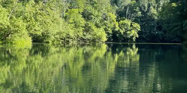 Lot 8 Hidden River Rd