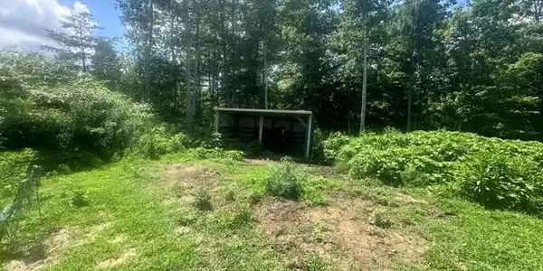 Image 2: Barn