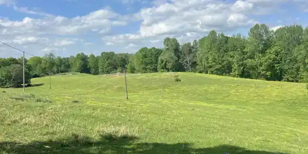 43.36 ac Winningham Road