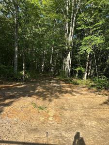 lot 339 619 Flat Top View