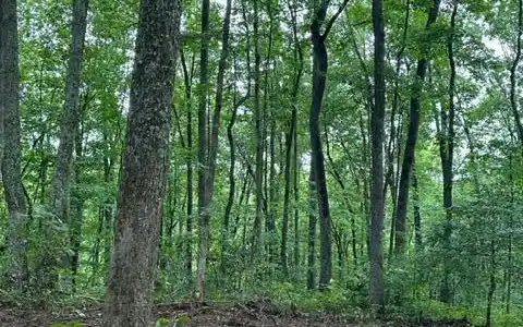 lot 340 Deep Branch