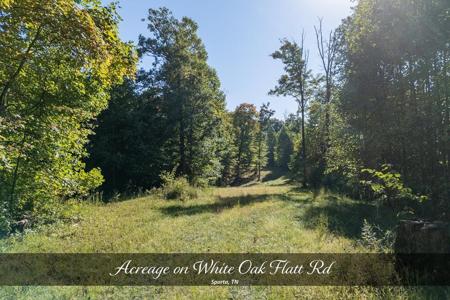 8111 White Oak Flatt Rd