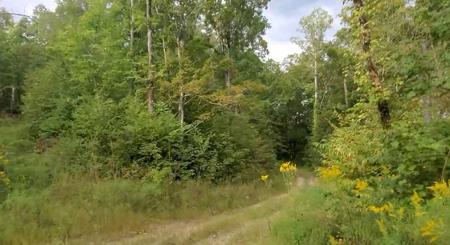 1B Junaluska Drive