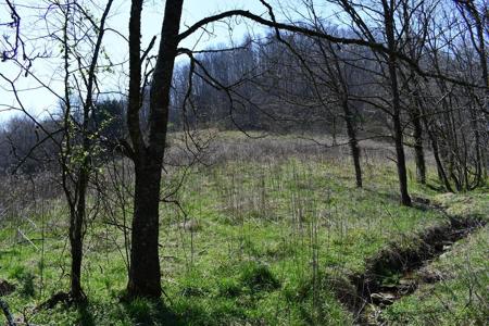 217.5ac Tick Ridge Road