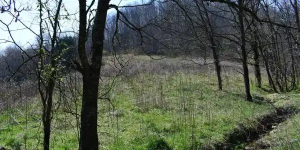 217.5ac Tick Ridge Road