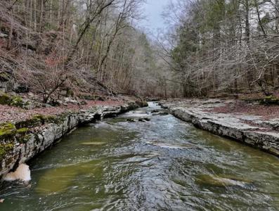 7.08ac Hollow Creek Lane