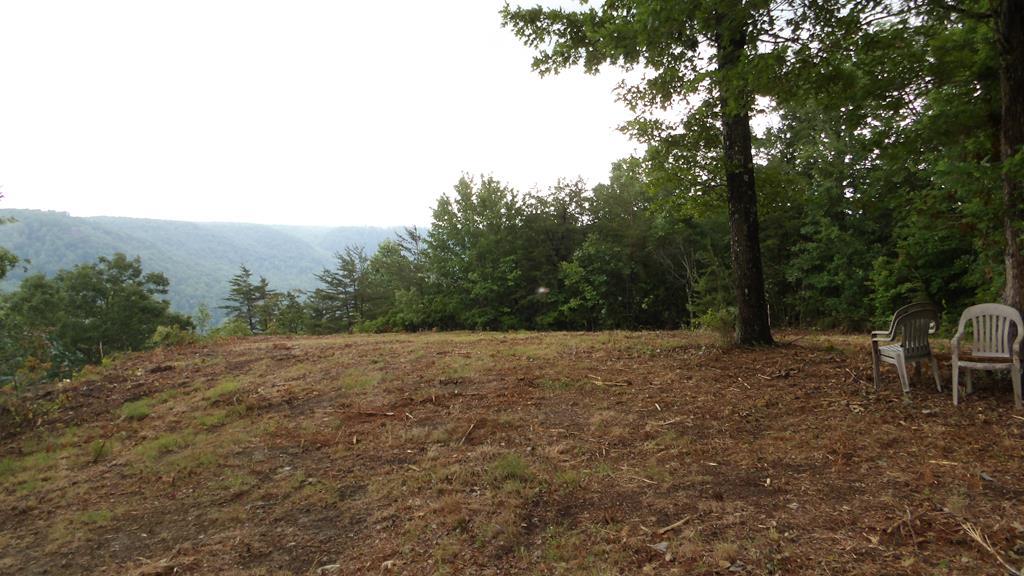 Image 1: Main View