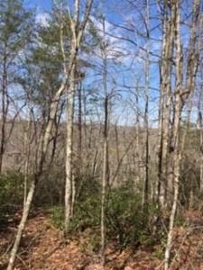 Lot 328 Flat Top View