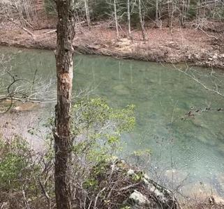Lot 21 E Bobcat Lane