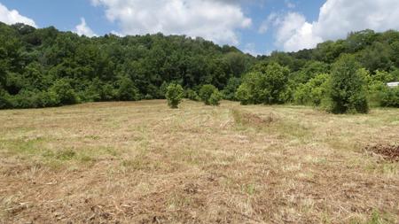 5.6ac Lonnie Reecer Rd