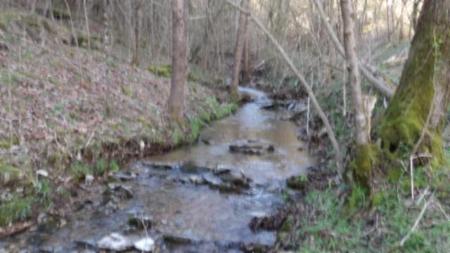 35.68ac Sugar Creek Rd