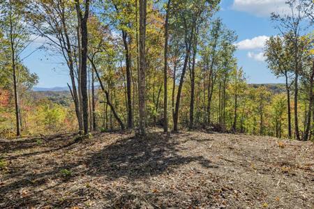 Tract 14 Off Of Sheep Ranch Road