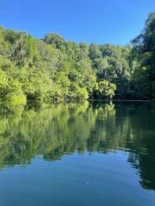 Lot 8 Hidden River Rd