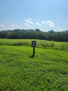 Lot 45 Dry Branch Way
