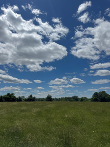 Tract 4 Old Kentucky Rd , Hwy 528