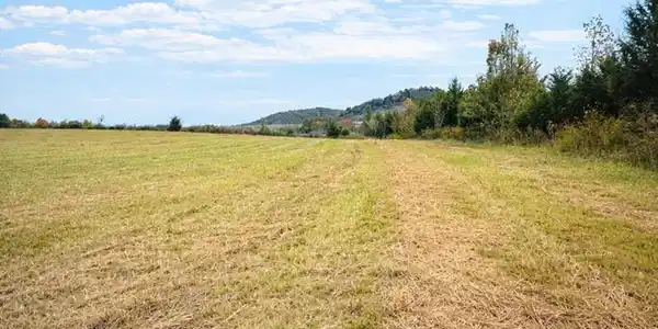 Duck Pond Rd