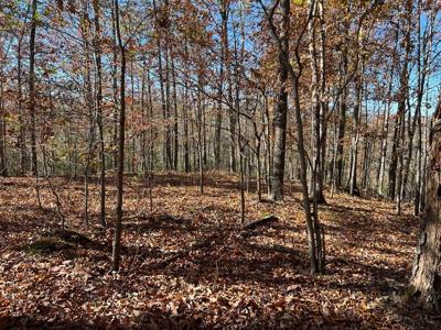 2.19 Ac Old Hwy 53