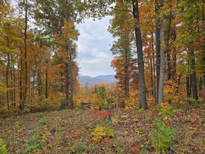 Lot 73 Tomahawk Rd.