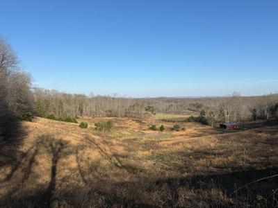 10 acres Bob Dennings Rd
