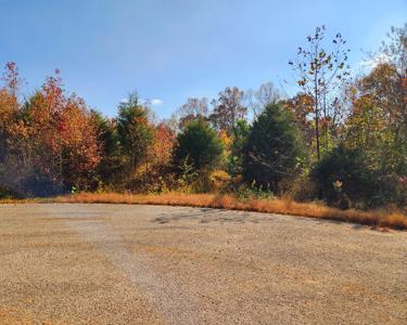 Lot 111 Brook Meadows Cir