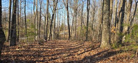 16 AC. Upper Crab Road