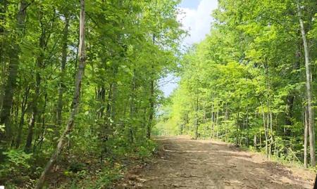 Tract 12 Higby Pvt Road