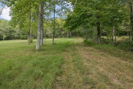 46.19 Ac Funn Branch Rd