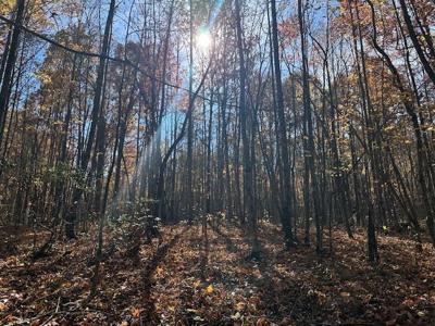 Lot 321 Hilltop Lane