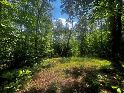 149 Fox Trail