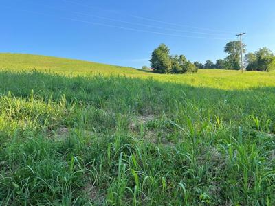 Lot 20 Amonett Circle