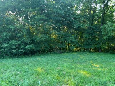 Tract 1 Amonette Circle