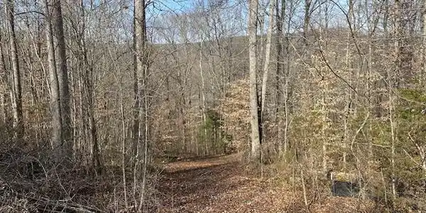 Lot 52 W Bobcat Ln